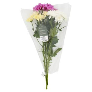 ASDA Mixed Chrysanthemums