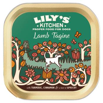 Lily's & Kitchen Lamb Tagine with Turmeric, Cinnamon & a Hint of Apricot 150g
