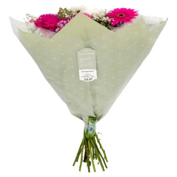 ASDA Pink Harmony