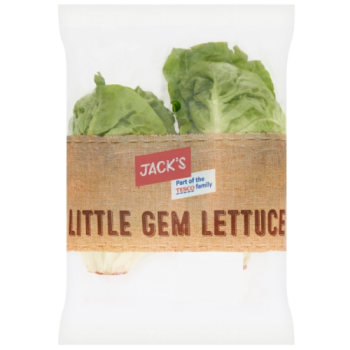 Jack's Little Gem Lettuce