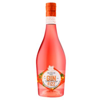 Blossom Hill Gin Fizz Blood Orange 750ml