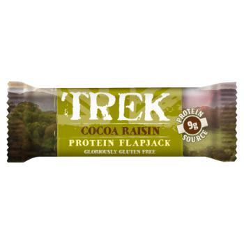 Trek Cocoa Raisin Protein Flapjack