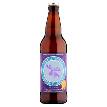 Purple Moose Brewery Glaslyn Ale 500ml