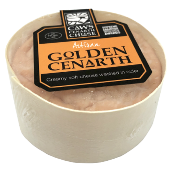 Caws Cenarth Cheese Artisan Golden Cenarth Soft Cheese Washed in Cider 