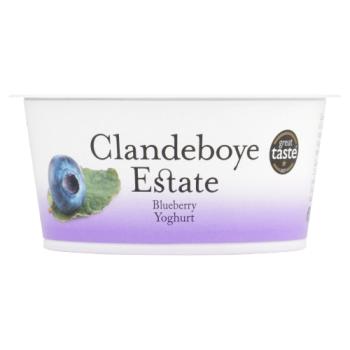 Clandeboye Estate Blueberry Yoghurt 150g