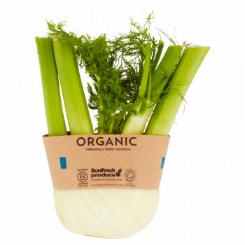 Sunfresh Organic Fennel