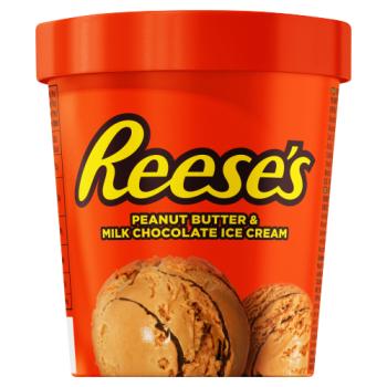Reese's Peanut Butter & Milk Chocolate Ice Cream 310g