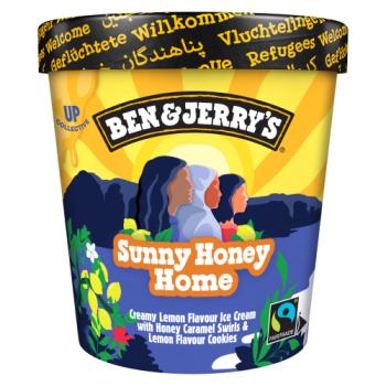 Ben & Jerry's  Ice Cream Dessert Sunny Honey Home 465ml