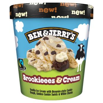 Ben & Jerry's Brookieees & Cream 465ml