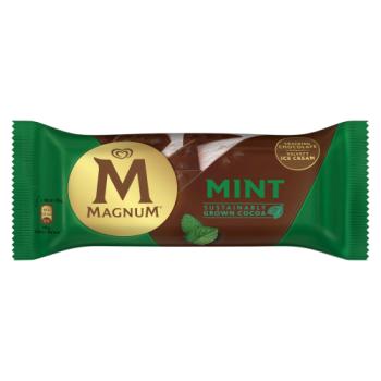 Magnum  Ice Cream Stick Mint 100 ml 