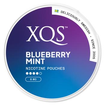 XQS 20 Blueberry Mint Nicotine Pouches 8mg