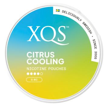 XQS 20 Citrus Cooling Nicotine Pouches 8mg