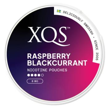 XQS 20 Raspberry Blackcurrant Nicotine Pouches 8mg