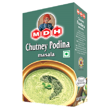 MDH Chutney Podina Masala 100g 