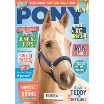 Pony
