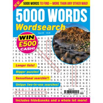 5000 Words Wordsearch